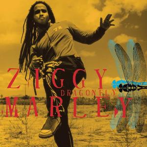 Ziggy Marley《I Get Out》[MP3_LRC]