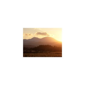 Mindfulness Healing BGM Project《Poincare and Self-control》