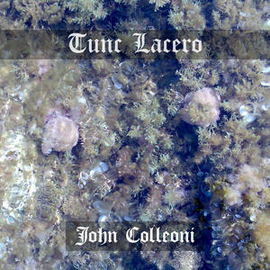 John Colleoni《Morsu Digitos(Motus VI)》[MP3_LRC]