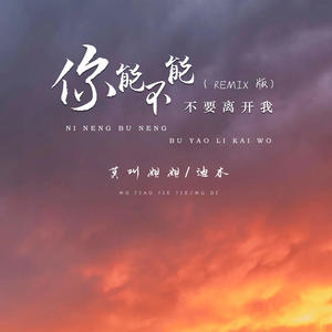 莫叫姐姐&迪木《你能不能不要离开我》