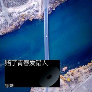 娜妹《赔了青春爱错人》[MP3_LRC]