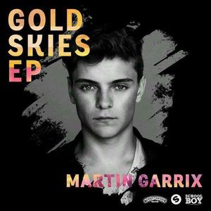 Martin Garrix《Animals》[MP3_LRC]