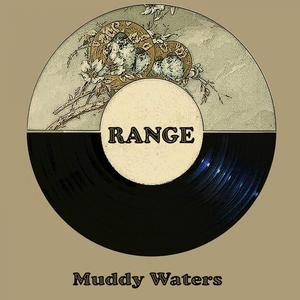 muddy waters