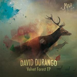 David Durango《Velvet Forest》[MP3_LRC]