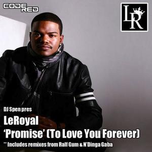 DJ Spen&LeRoyal《Promise(To Love You Forever)(MuthaFunkin Forever Mix)》[MP3_LRC]