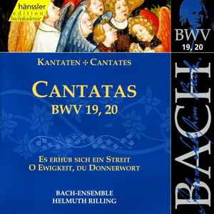 Adalbert Kraus&Stuttgart Bach Collegium&Helmuth Rilling《Part I: Aria: Ewigkeit, du machst mir bange (Tenor)》[MP3_LRC]