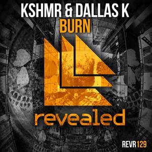 KSHMR&DallasK《Burn(Radio Edit)》[MP3_LRC]