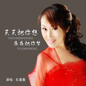 红蔷薇《天天把你想夜夜把你梦》