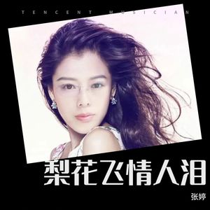 张婷《梨花飞情人泪 (cover: 星月组合)》
