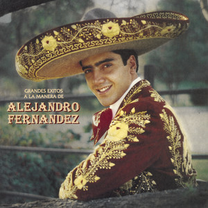 Alejandro Fernández《El Día Que Me Quieras》[MP3_LRC]