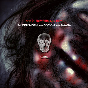 Naaga&Socio-1&Muggy Moth《Sociology Terminology(Original Mix)》[MP3_LRC]