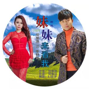 彭美琪&刘海辰《妹妹来看我新版舞曲(伴奏)》[MP3_LRC]