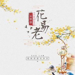 云菲菲《花易老》
