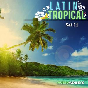 Dennis Fermin《The Latin Lounge》