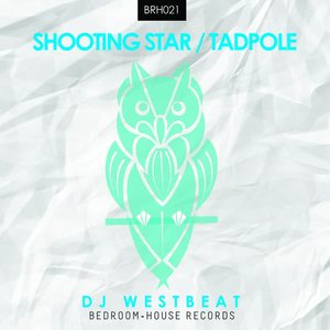 DJ WestBeat《Tadpole(Original Mix)》[MP3_LRC]