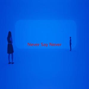 The Fray《Never Say Never(Instrumental version originally performed by The Fray)》[MP3_LRC]