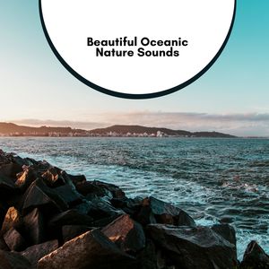 Eric Library of Nature Sounds《Ocean Wave Bubbles》[MP3_LRC]