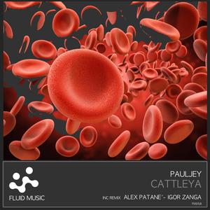 Pauljey《Cattleya(Alex Patane' Remix)》[MP3_LRC]