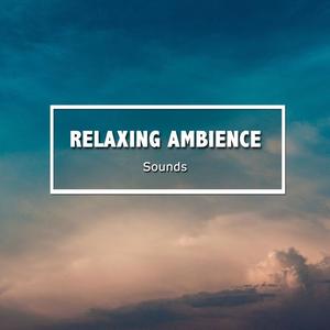 Massagem Música&Master Meditação&Academia de Relaxamento e Meditação《Tranquil Binaural Sounds》