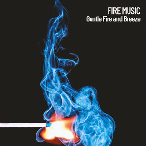 Fire Sounds&Brain Timbre&SPA《Burning Sounds at Night》