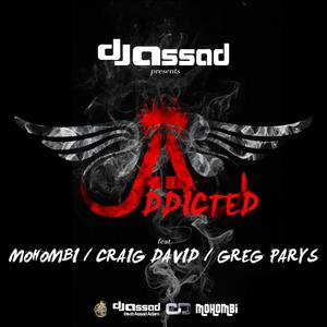 DJ Assad&Mohombi&Craig David&Greg Parys《Addicted(Jay Style Remix)》[MP3_LRC]