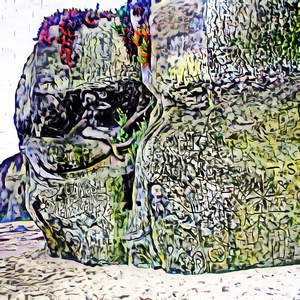 Explorer Bushing《Thoughtful Endangered》