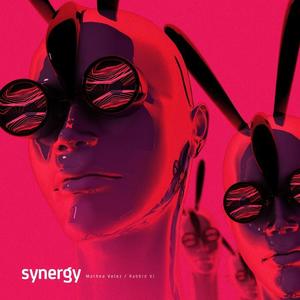 Matheo Velez&Rabbid VJ《Synergy Feat. Rabbid VJ(Original Mix)》[MP3_LRC]