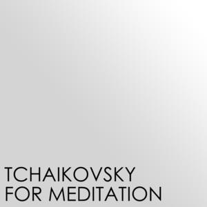 Mikhail Pletnev《Tchaikovsky: 18 Morceaux, Op. 72 - 13. Echo rustique(Live)》[MP3_LRC]