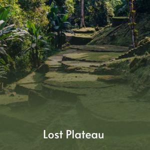 Frank Hunter《Lost Plateau》[MP3_LRC]