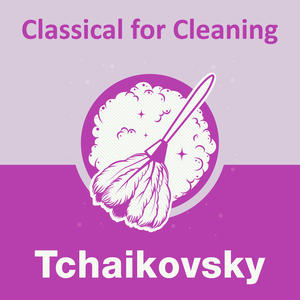 Mariinsky Orchestra&Valery Abisalovich Gergiev《Tchaikovsky: Swan Lake, Op. 20 - Mariinsky Version / Act 1 - Scene 1: Pas de trois - Variation 3 (Allegro)》[MP3_LRC]