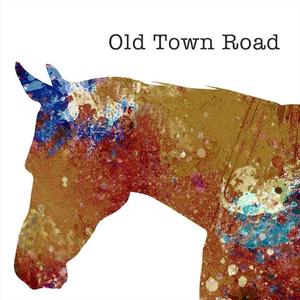 Walk Off the Earth《Old Town Road(Explicit)》[MP3_LRC]