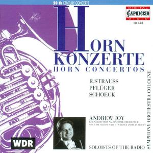 Andrew Joy&Cologne Radio Symphony Orchestra&Wolf-Dieter Hauschild《III. Rondo: Ausserst schnell und leicht》[MP3_LRC]