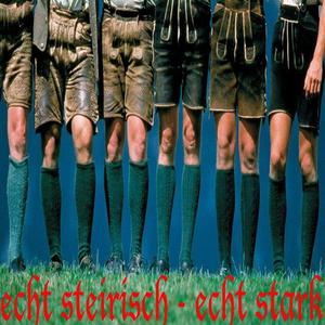 Steirerbluat《Steirerbluat HITMIX》