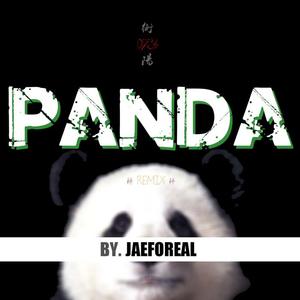 JaeForeal《衡阳 = Panda (Remix)》[MP3_LRC]