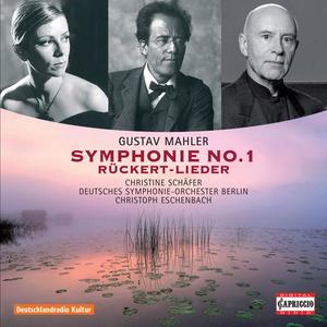 Deutsches Symphonie-Orchester Berlin&Christoph Eschenbach《I. Langsam, schleppend》[MP3_LRC]