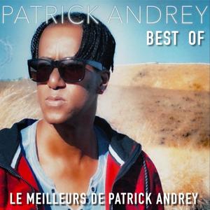 Patrick Andrey《Good Bye》[MP3_LRC]