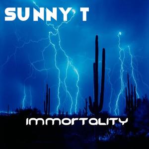 Sunny T《Immortality(Original Mix)》[MP3_LRC]