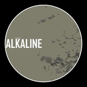 D.N.S《Alkaline(Original Mix)》[MP3_LRC]