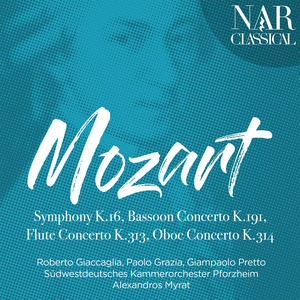 Südwestdeutsches Kammerorchester Pforzheim&Alexandros Myrat&Roberto Giaccaglia《II. Andante ma adagio》[MP3_LRC]