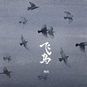 海真《飞鸟》