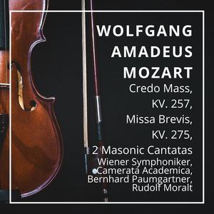 维也纳爱乐乐团&Wiener Sängerknaben&Rudolf Moralt&Walter Berry&Franz Tiller&Werner Krenn&Erich Majkut《Agnus Dei》[MP3_LRC]