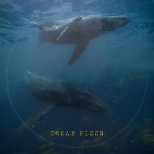 Eira&Miper《Ocean Floor》[MP3_LRC]