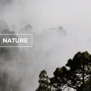 Cricket Sounds&Nature Sounds Collabo&Zen Master《Mediation Rain》