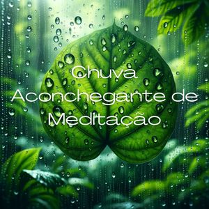 Relaxantes Natureza Zona《Ondas de Relaxamento no Spa》