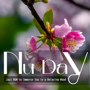 Nu Day《Soothing Embrace of Solace》