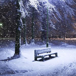 Loydwick&loyd harrell《Snowfall》