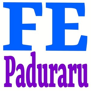 Paduraru《FE(Fit Mix)》[MP3_LRC]