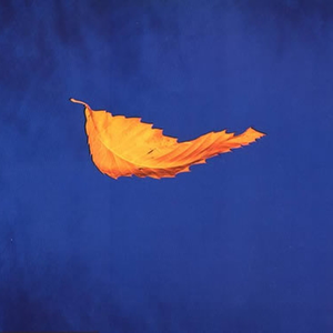 New Order《True Faith(Remix)》[MP3_LRC]