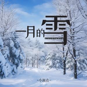 小雨点《一月的雪（DJ版）》[MP3_LRC]