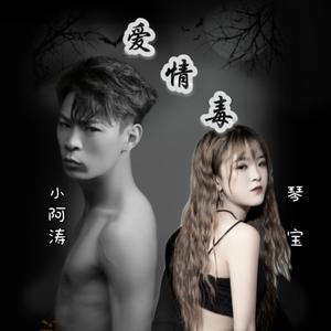 小阿涛&琴宝《爱情毒(伴奏)》[MP3_LRC]